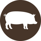 Pork icon